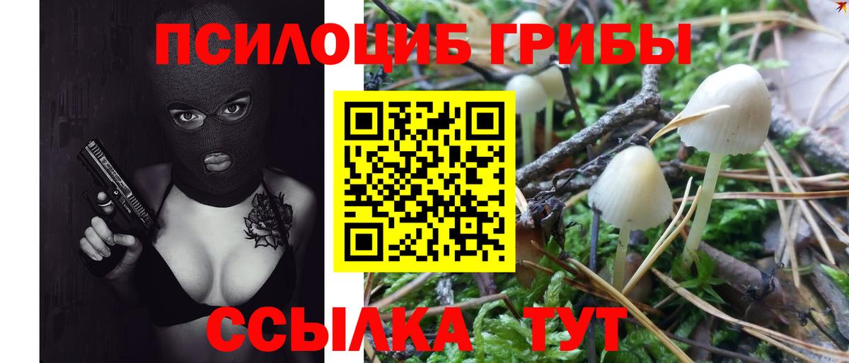 Галлюциногенные грибы GOLDEN TEACHER Ногинск